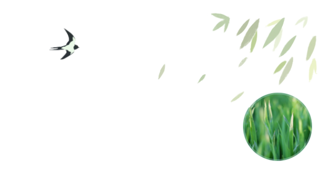 员工随笔丨抗“疫”过年，，各人都还好吗？？？