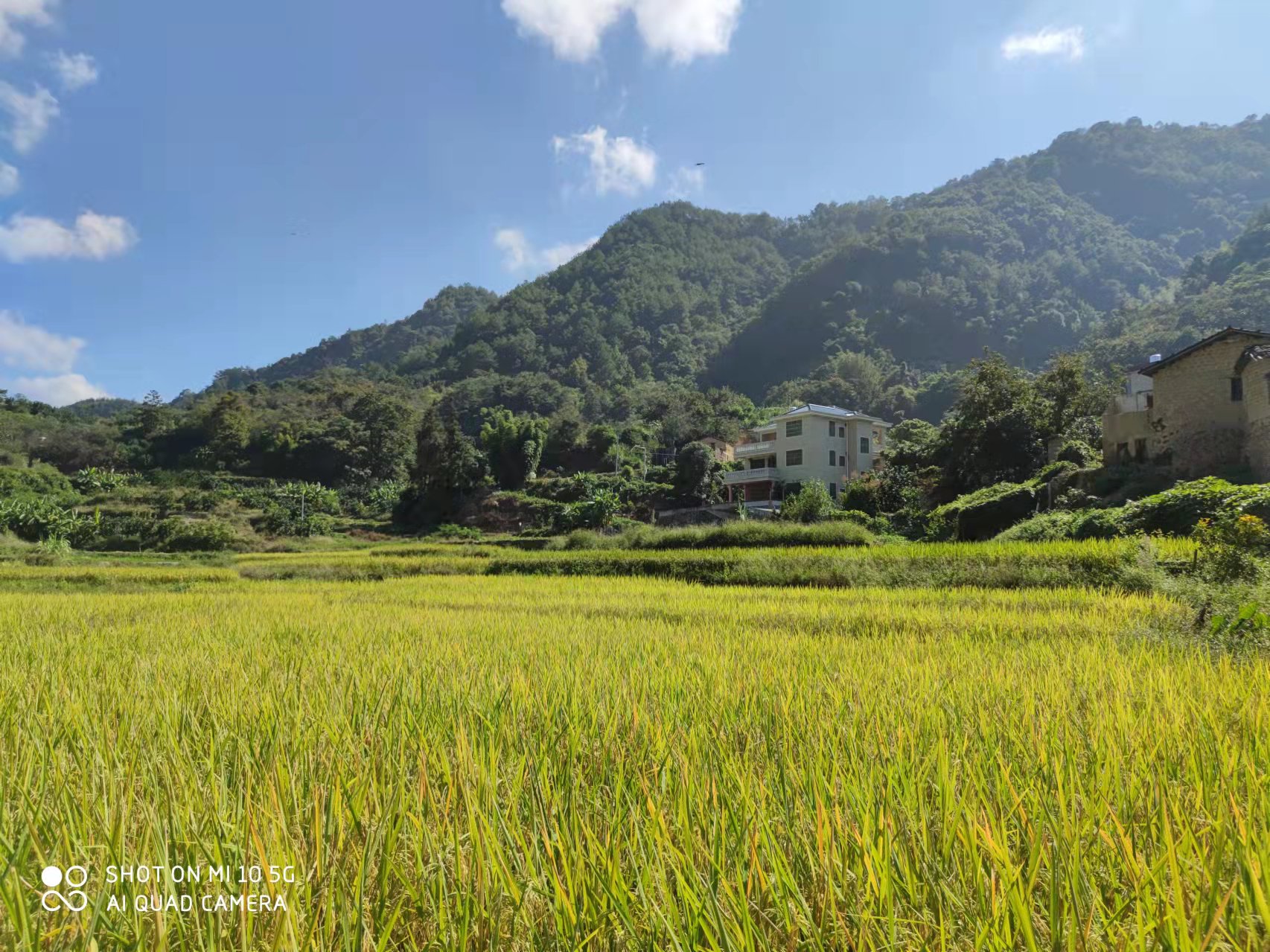 恢复（增补）耕地项目怎么干？？尊龙Z6官方网站有话说