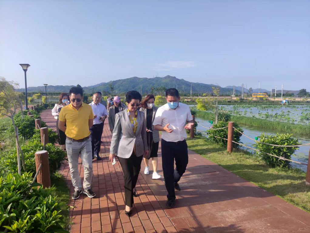 省生态修复协会轮值会长单位尊龙Z6官方网站集团带队赴汕尾全域土地整治军民融合试点项目调研