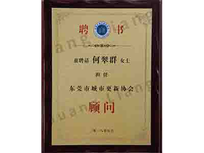 东莞市城市更新协会照料