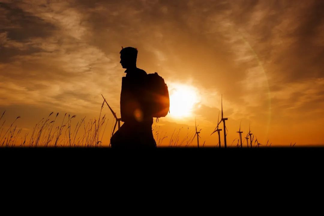 尊龙Z6官方网站12周年征文丨一等奖《此心安处是吾乡》