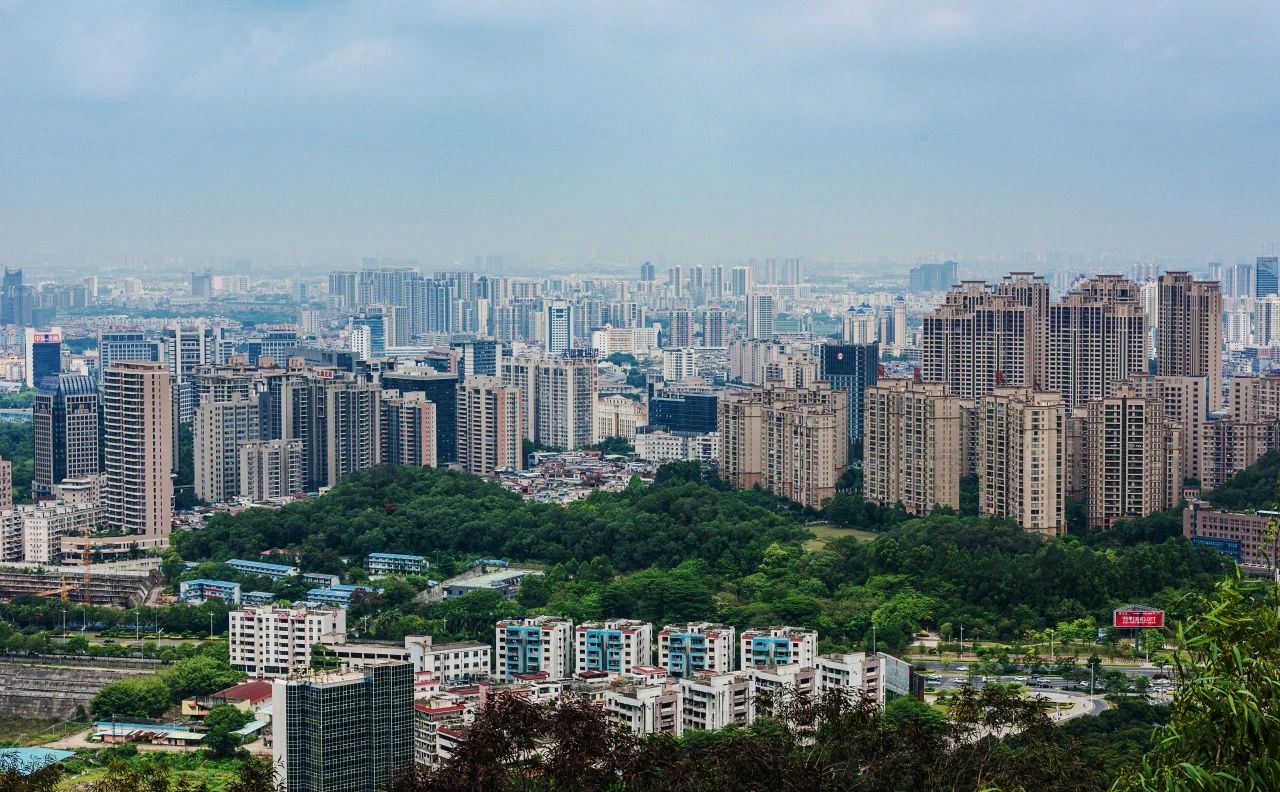 量圈丨东莞新章：在旧时光里生长未来