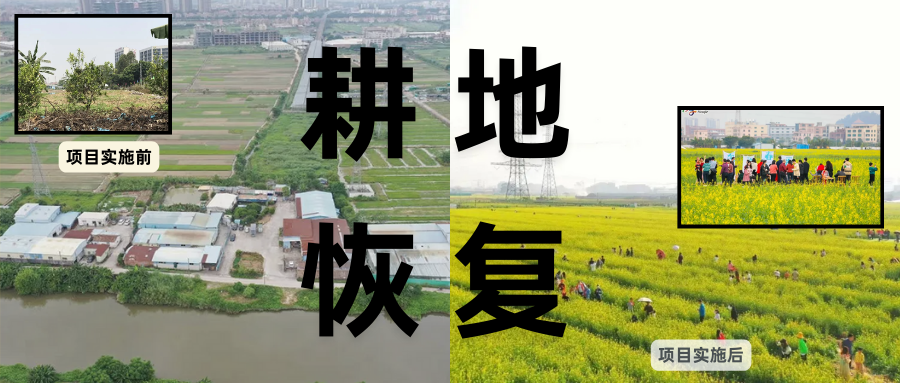 耕地；；；び刖每构踩凇甘泻窠终蛩谏缜读继锵钅扛鼗指从氤窍缛诤系牧⒁焓导