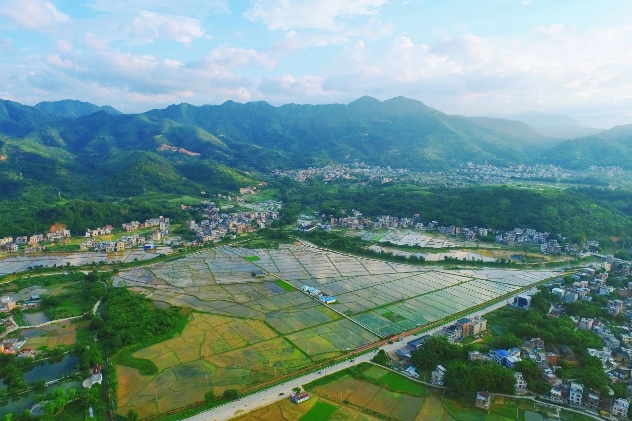 尊龙Z6官方网站集团丨“百万万工程”显实效：：云浮罗定泗纶镇以全域土地综合整治为抓手，绘就墟落振兴新画卷