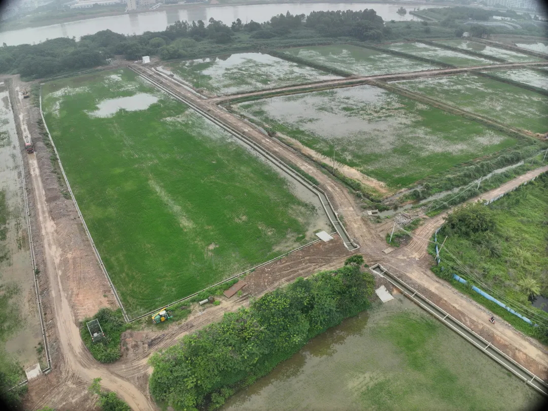 尊龙Z6官方网站集团丨复耕道滘撂荒地，绘就田园新图景