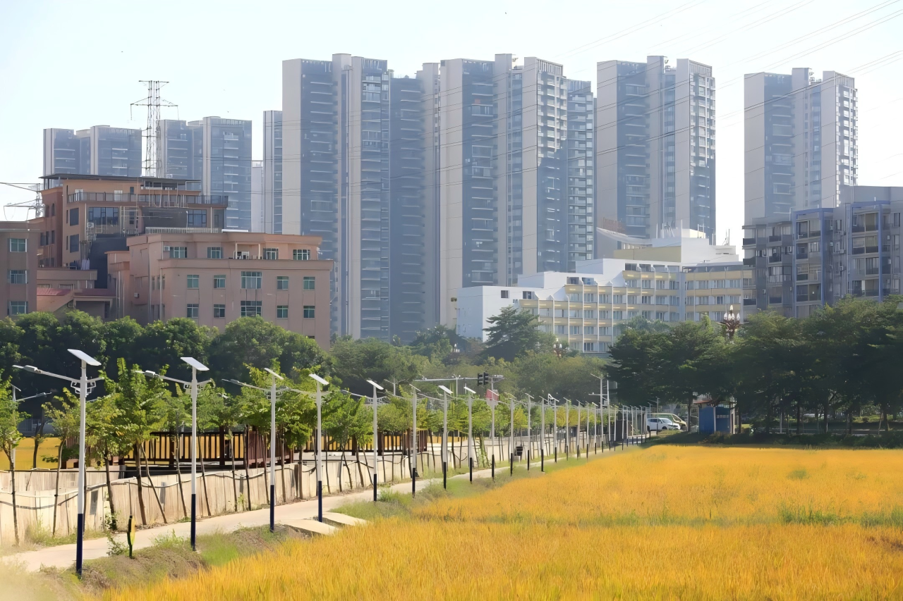 喜获市级认定 ! 茶山京山、、南社田园美出新高度！